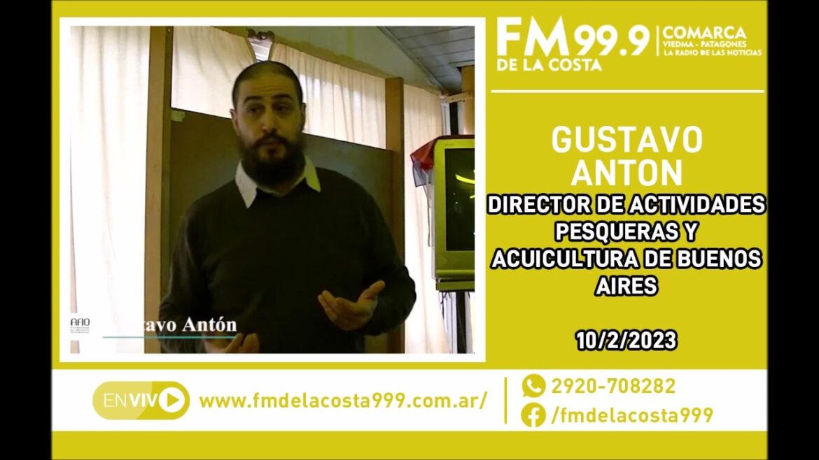 Escuchá el audio de Gustavo Antón