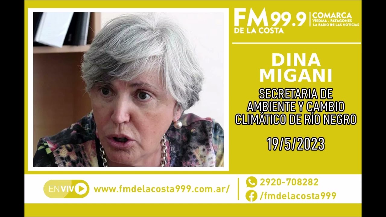 Escuchá el audio de Dina Migani