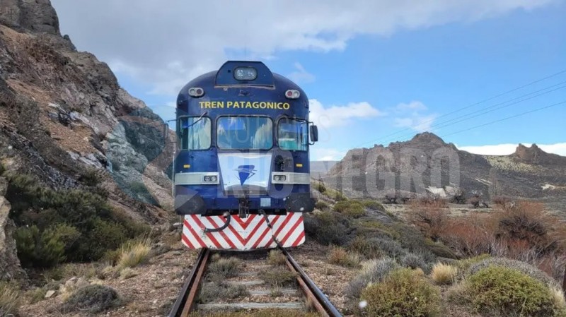 Tren Patagónico: aún sin servicio de pasajeros y se demora el inicio del transporte de carga