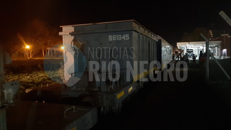 Qué transportó el Tren Patagónico en su primer viaje de carga a Bahía Blanca