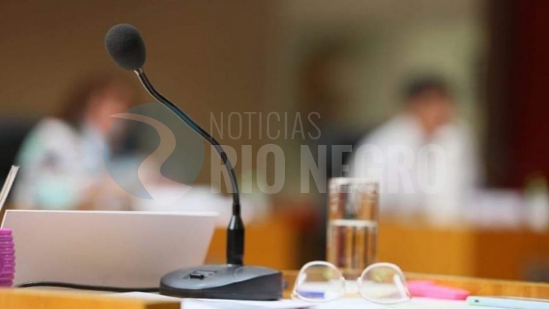 ¿El Concejo de Viedma tendrá más sesiones?: “Hay que buscar un equilibrio”