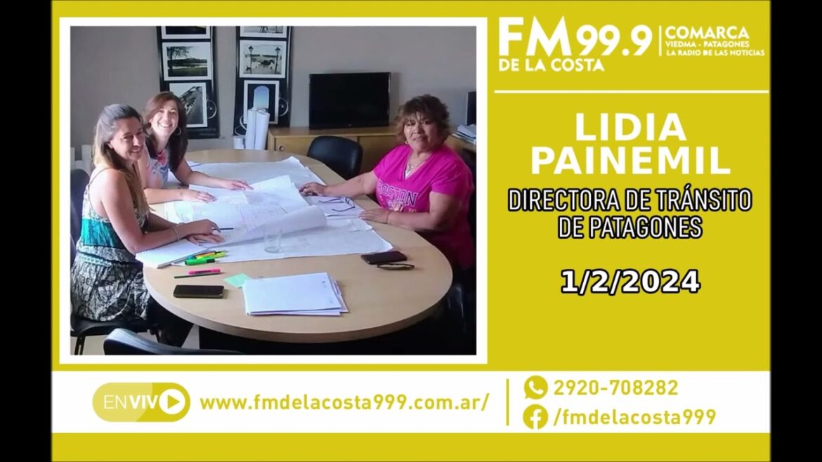Escuchá el audio de Lidia Painemil