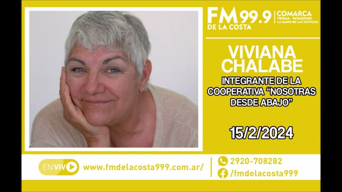 Escuchá el audio de Viviana Chalabe