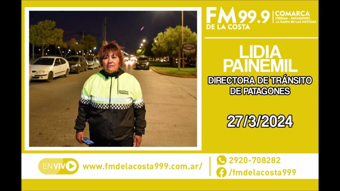 Escuchá el audio de Lidia Painemil