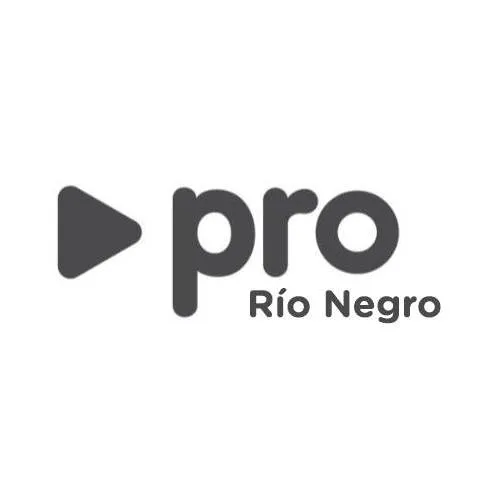 Con “lugares insólitos” para votar, se hacen las elecciones del PRO en Río Negro este domingo