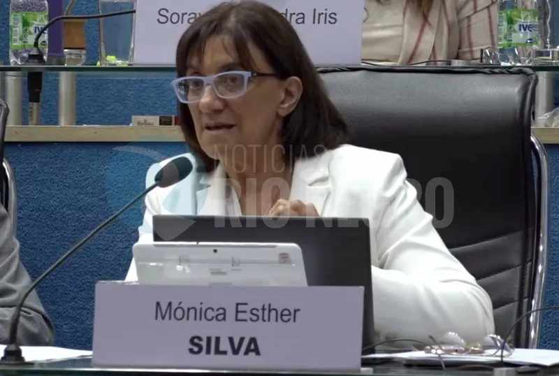 (AUDIO) Mónica Silva y el tratamiento de la Ley Bases: «Siento presión»