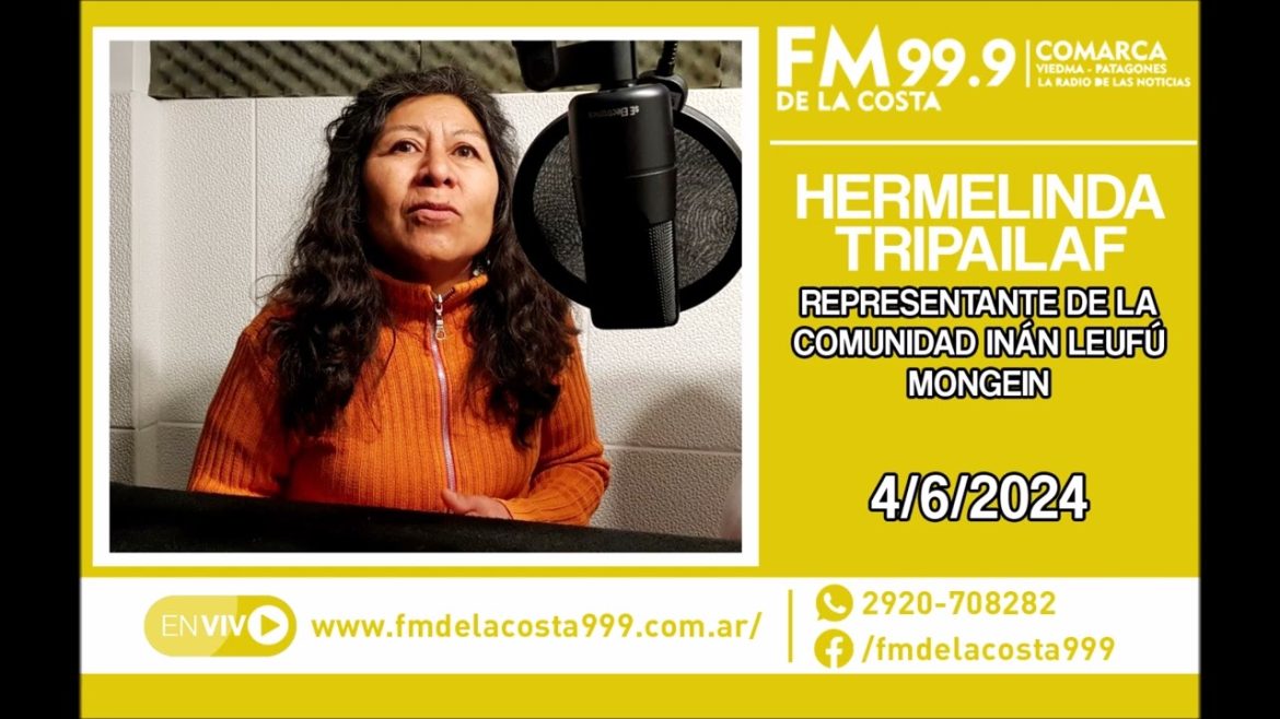 Escuchá el audio de Hermelinda Tripailaf