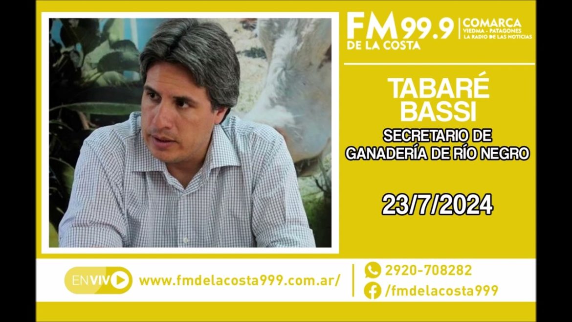 Escuchá el audio de Tabaré Bassi